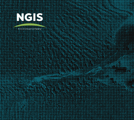The NGIS upgrade solution