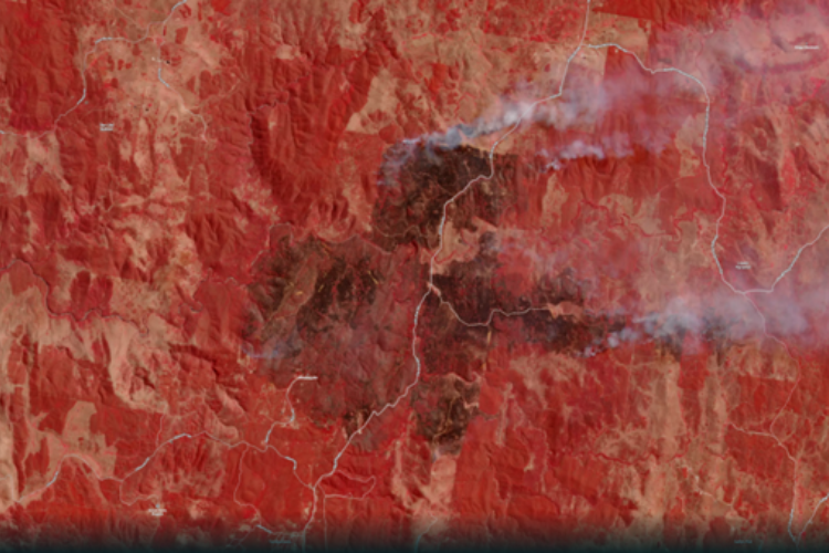 How Fire and Emergency Services are accessing satellite imagery acquired Australia-wide everyday, to prepare for and mitigate the impacts of the Bushfire Season