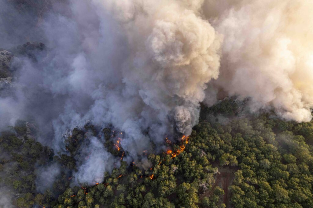 GIS Emergency Management Services - Bush Fires